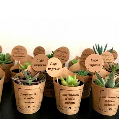 Plantas Corporativa para Regalar