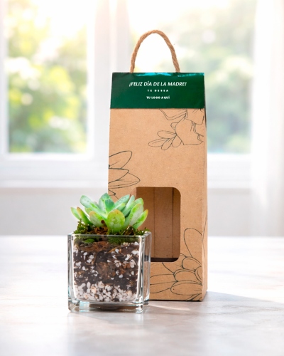 Plantas corporativas para Empresas