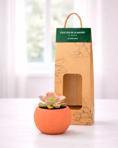 Maceta de ceramica con suculentas variadas