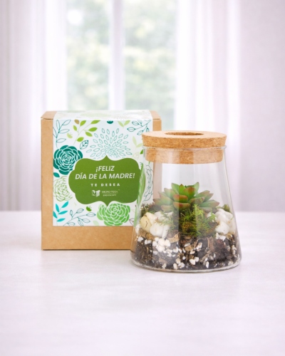 Plantas Corporativa para Regalar