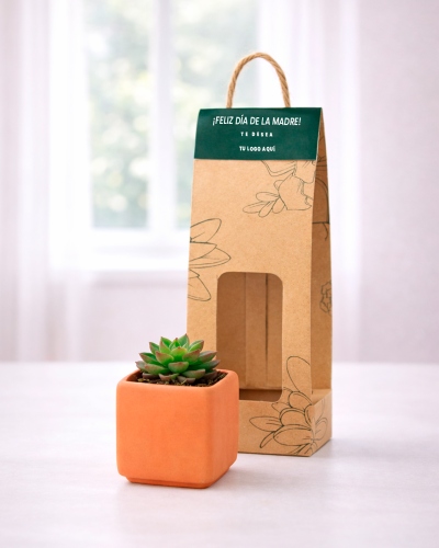 Suculentas en macetero cuadrado