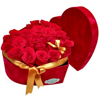 Caja Terciopelo de 28 Rosas Rojas